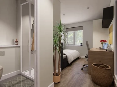 Studio at Moss Court 422 Moss Lane East, image 9 of 17