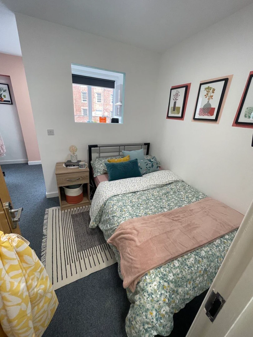 Furnished studio in Leicester