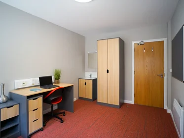 私人房间 在 8 Roxburgh Place, 19的图像11