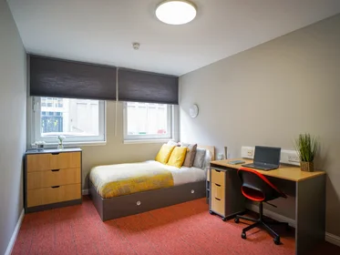 私人房间 在 8 Roxburgh Place, 19的图像12