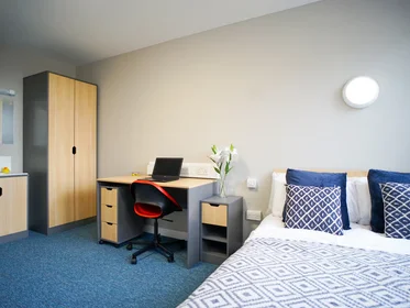 私人房间 在 8 Roxburgh Place, 19的图像13