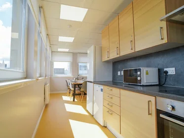 私人房间 在 8 Roxburgh Place, 19的图像17