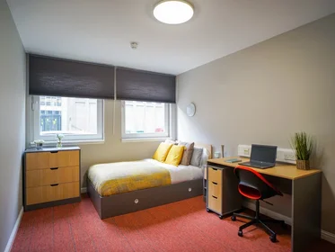 私人房间 在 8 Roxburgh Place, 19的图像19