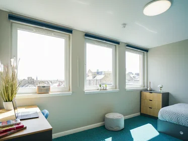 私人房间 在 8 Roxburgh Place, 19的图像10
