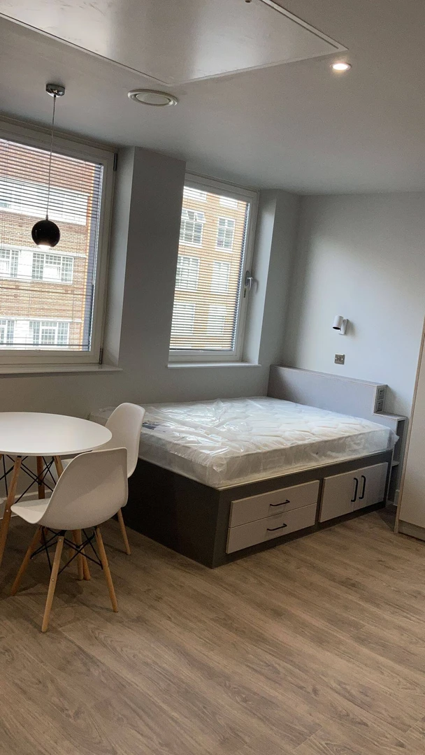 Very bright studio for rent in Leicester