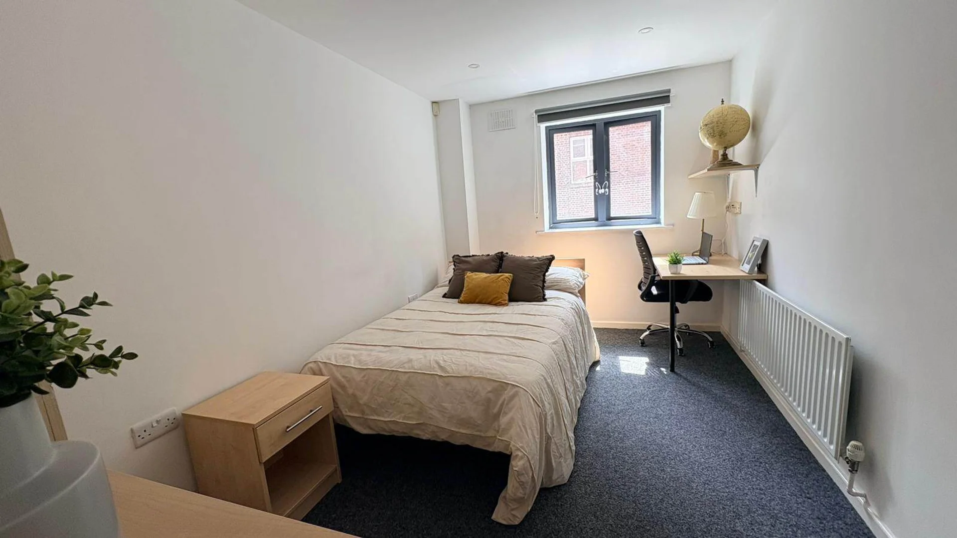 Helles und luftiges Studentenzimmer mit einfachem Zugang zur Universität in