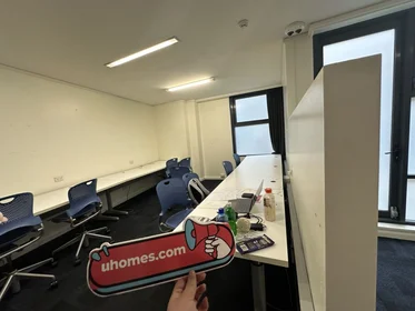 Studio at 161 Broadway, Ultimo, image 18 of 20