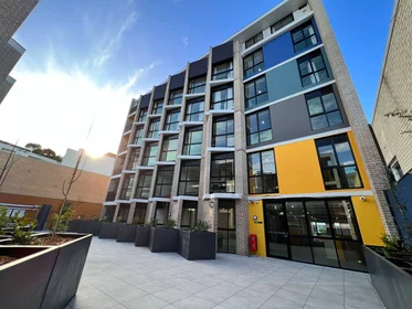 Estudio en 219 Maroubra Road, imagen 8 de 16