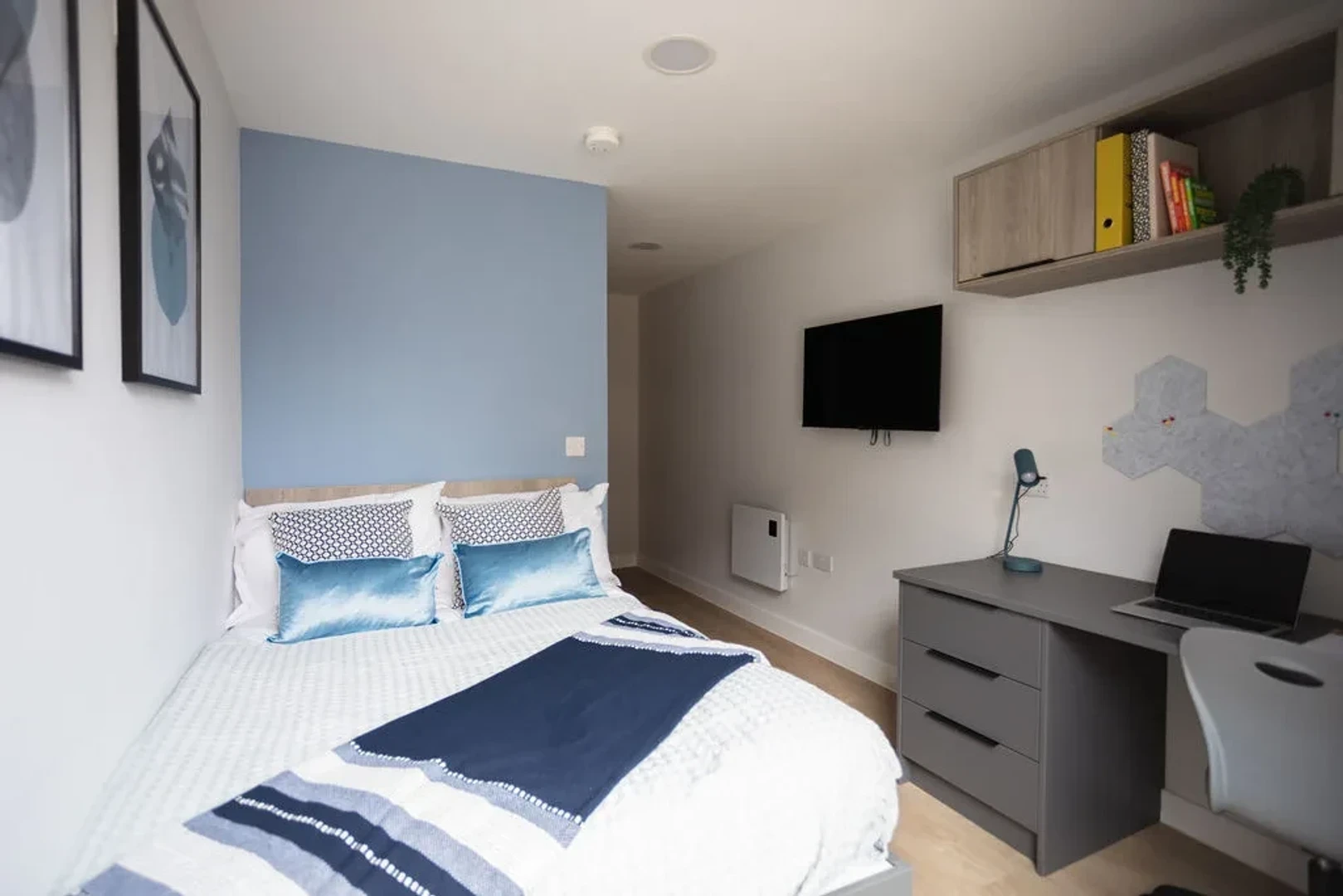 Furnished studio in Exeter