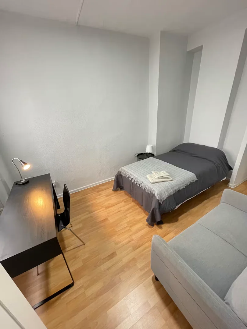 Affordable room for students with ample lighting in 