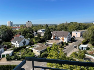 Entire fully furnished flat in Mainz