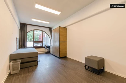 Chambre à louer dans un appartement en colocation à Bruxelles-brussel