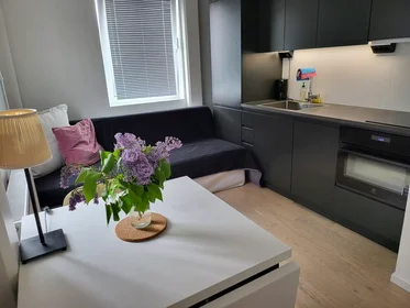 Alojamiento entero en Tellusvägen, Häggvik, imagen 1 de 7