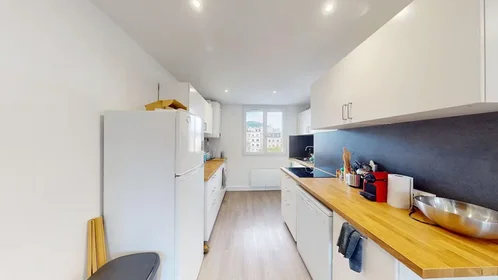 私人房间 在 Rue Paul Bourget, Quartier Capuche-Alliés, 10的图像9