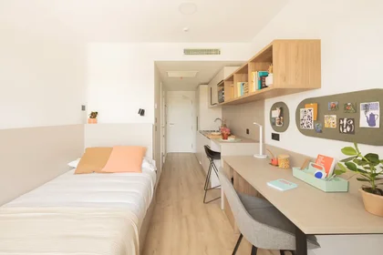 Entire apartment at Calle del Sadar, Lezkairu, image 2 of 10