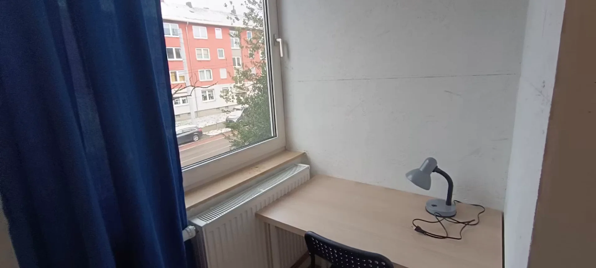 Affordable room for students with ample lighting in 