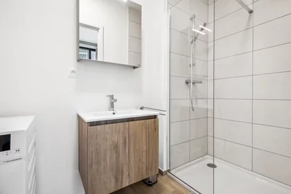 Logement entier à Chaussée d'Anvers, Bruxelles, image 10 de 10