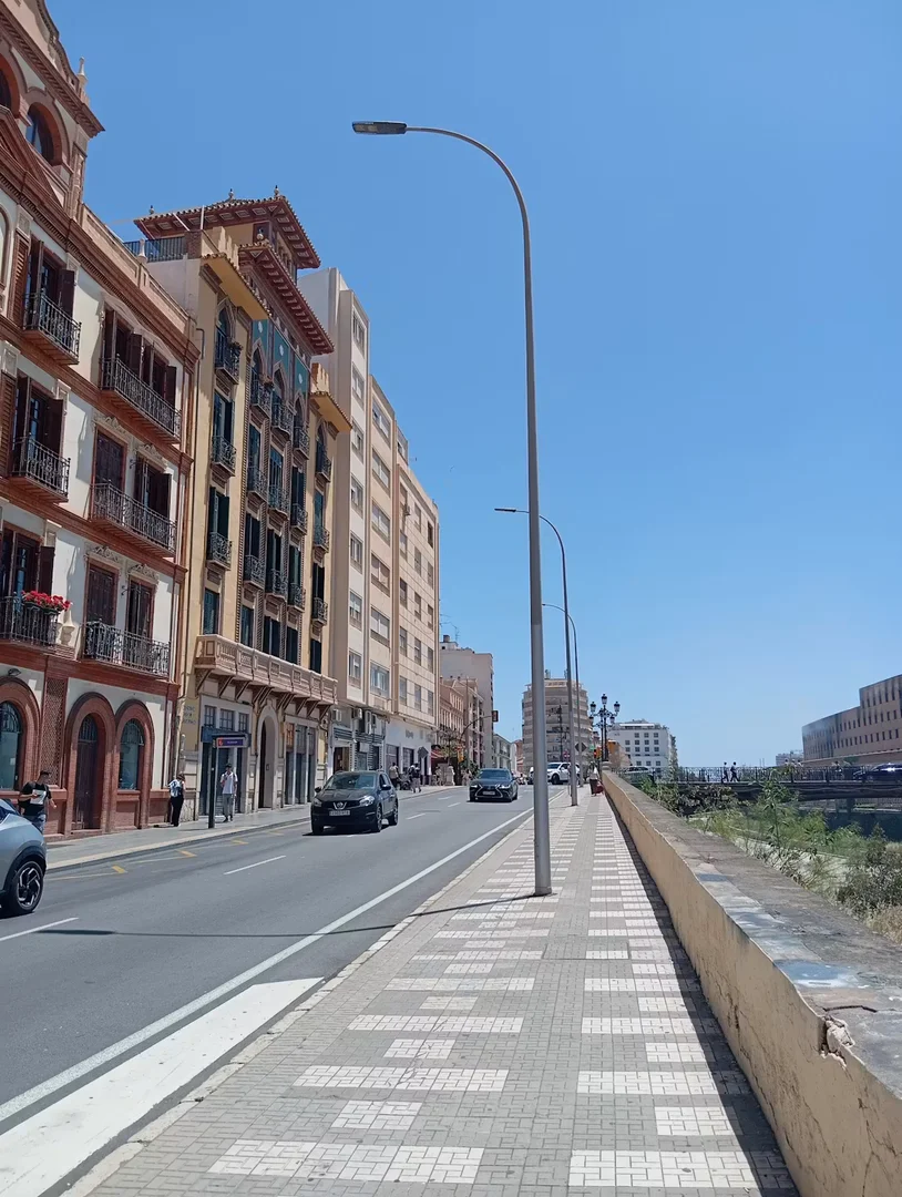Avenida de la Rosaleda, Distrito Centro