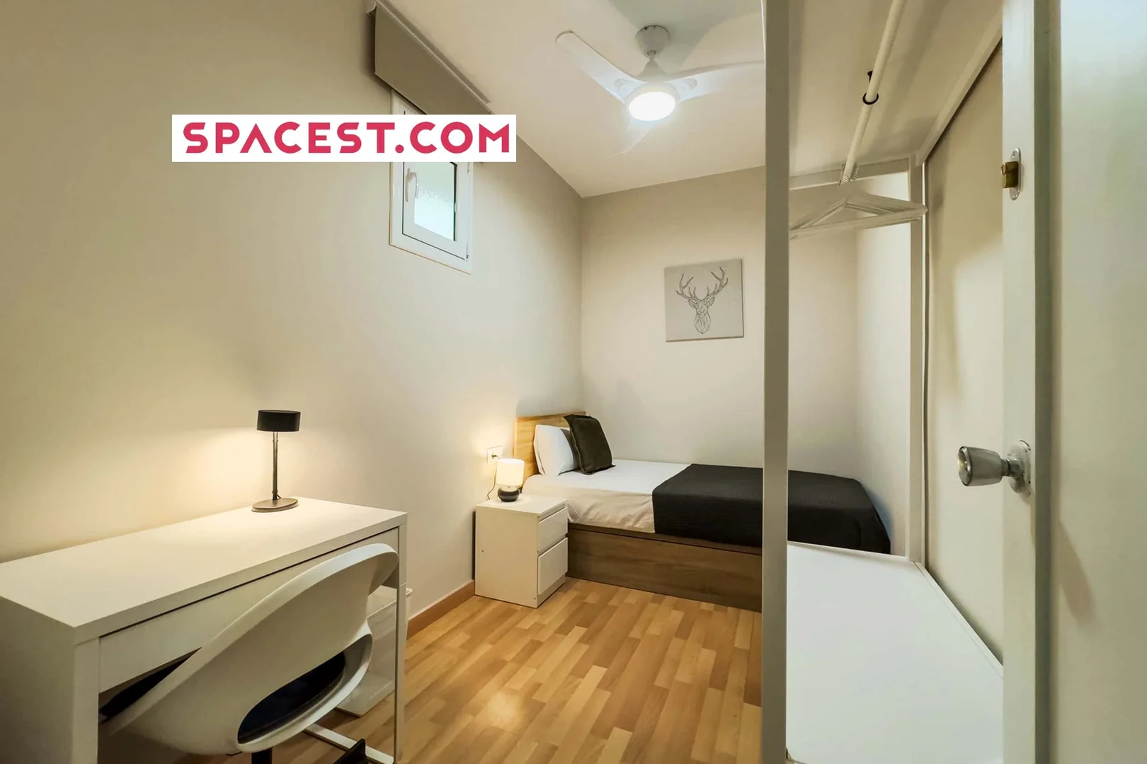Chambre confortable pour étudiants disponible dans 