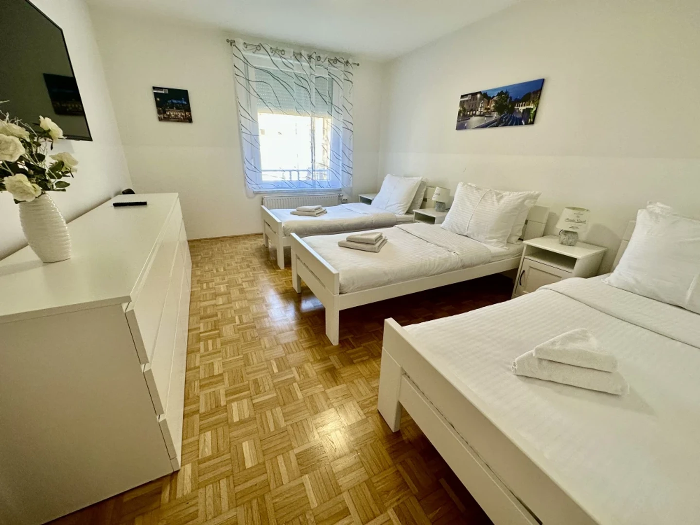 Appartement entièrement meublé à Ljubljana