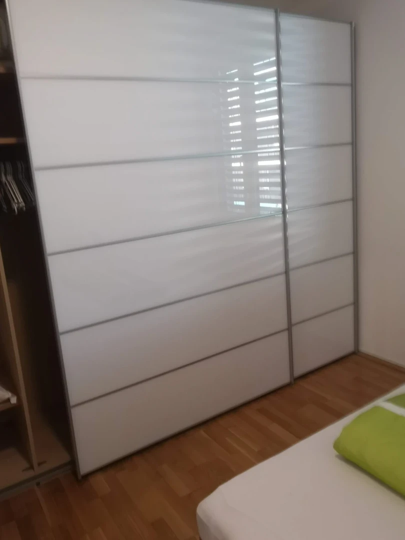 Linz de çift kişilik yataklı kiralık oda