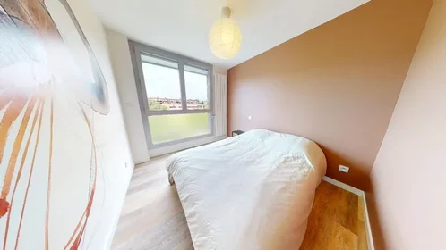 Habitación privada en Rue Fabri de Peiresc, Alco, imagen 1 de 10