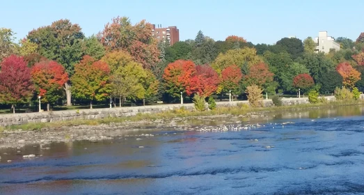 Stanza privata molto luminosa a Ottawa