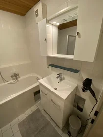 Stanza privata in Schäffergasse, 4. Bezirk-Wieden, immagine 6 di 10