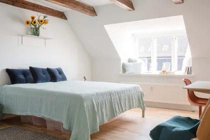 Quarto privado em Copenhagen, Denmark, imagem 4 de 20