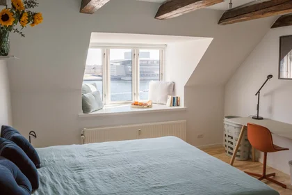 Quarto privado em Copenhagen, Denmark, imagem 5 de 20