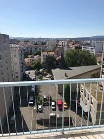 Habitación privada en Villeurbanne, 69100, imagen 14 de 15