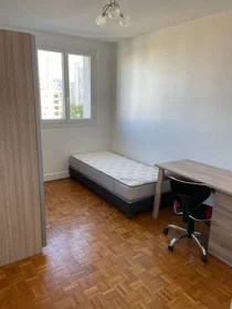 Habitación privada en Villeurbanne, 69100, imagen 8 de 15