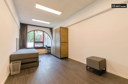 Renting rooms by the month in Bruxelles-brussel