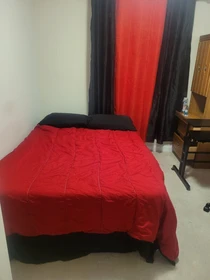 Chambre à louer avec lit double Ottawa