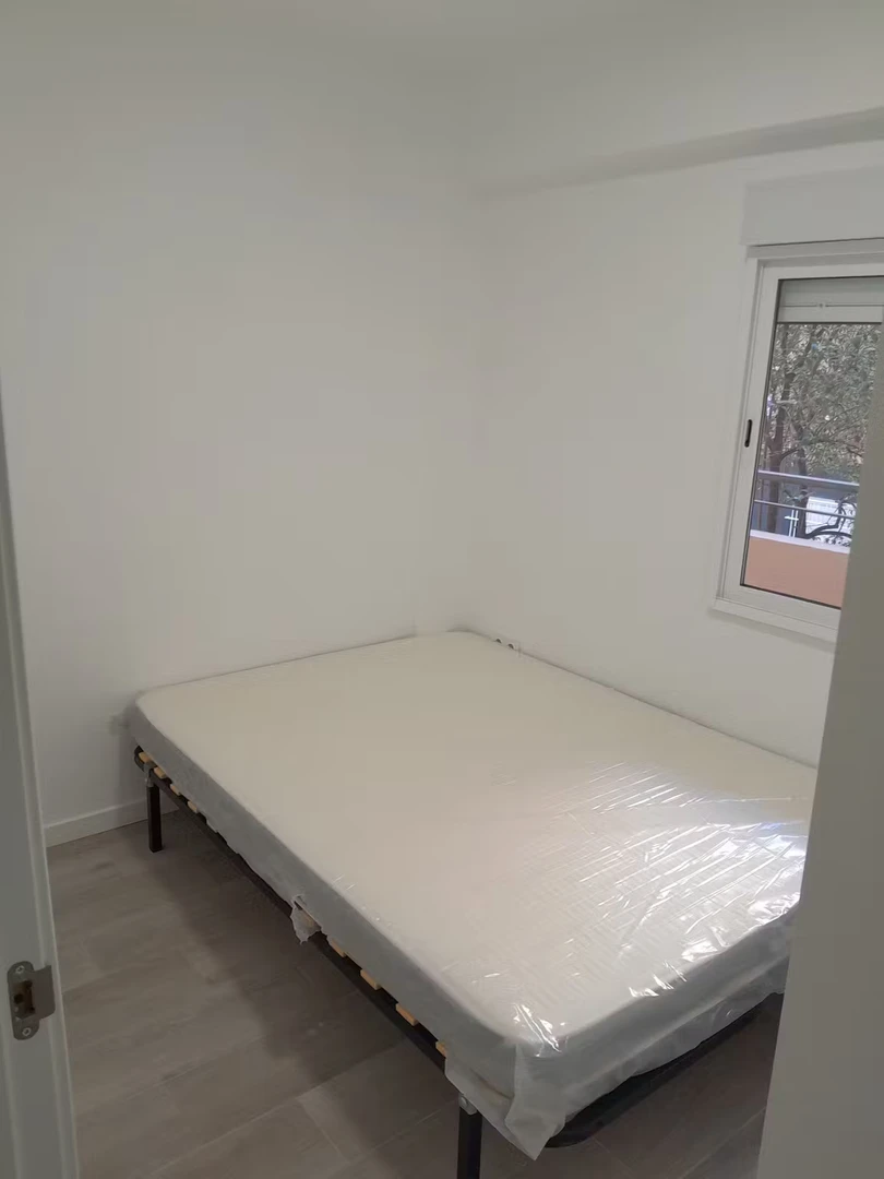 Cheap shared room in Valencia