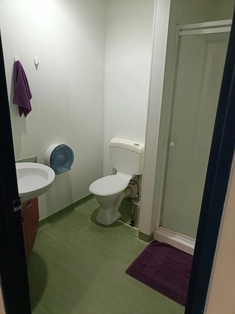 Room for rent in a shared flat in Auckland