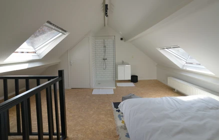 Bright private room in Bruxelles-brussel