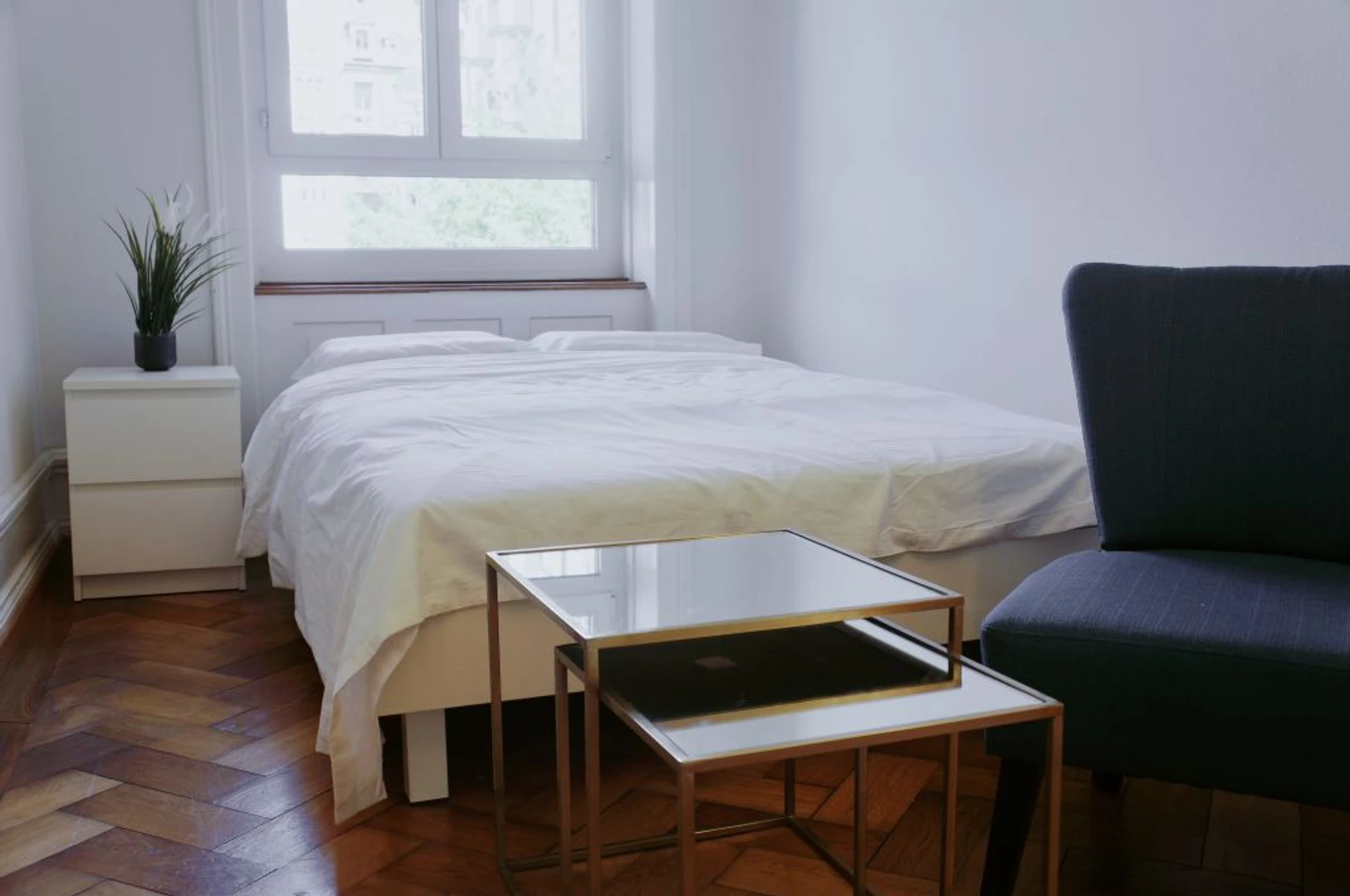 Room for rent in a shared flat in zurich