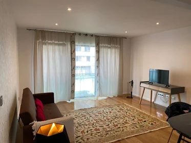 Entire fully furnished flat in Madeira