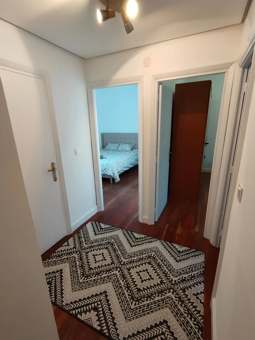 Accommodation with 3 bedrooms in Bilbao