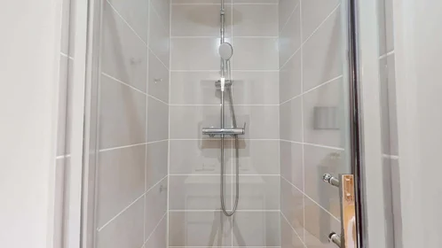 Private room at 101 Av. du Drapeau, 21000 Dijon, France, image 11 of 28
