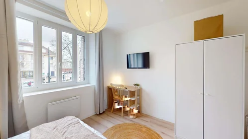Private room at 101 Av. du Drapeau, 21000 Dijon, France, image 12 of 28
