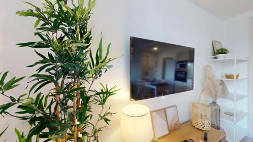 Private room at 101 Av. du Drapeau, 21000 Dijon, France, image 23 of 28