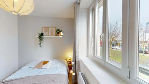 Private room at 101 Av. du Drapeau, 21000 Dijon, France, image 5 of 28