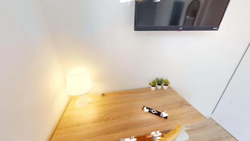 Private room at 101 Av. du Drapeau, 21000 Dijon, France, image 6 of 28