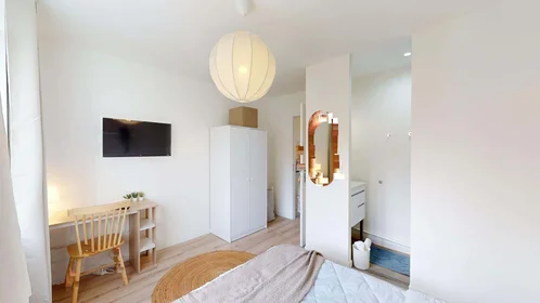 Private room at 101 Av. du Drapeau, 21000 Dijon, France, image 7 of 28