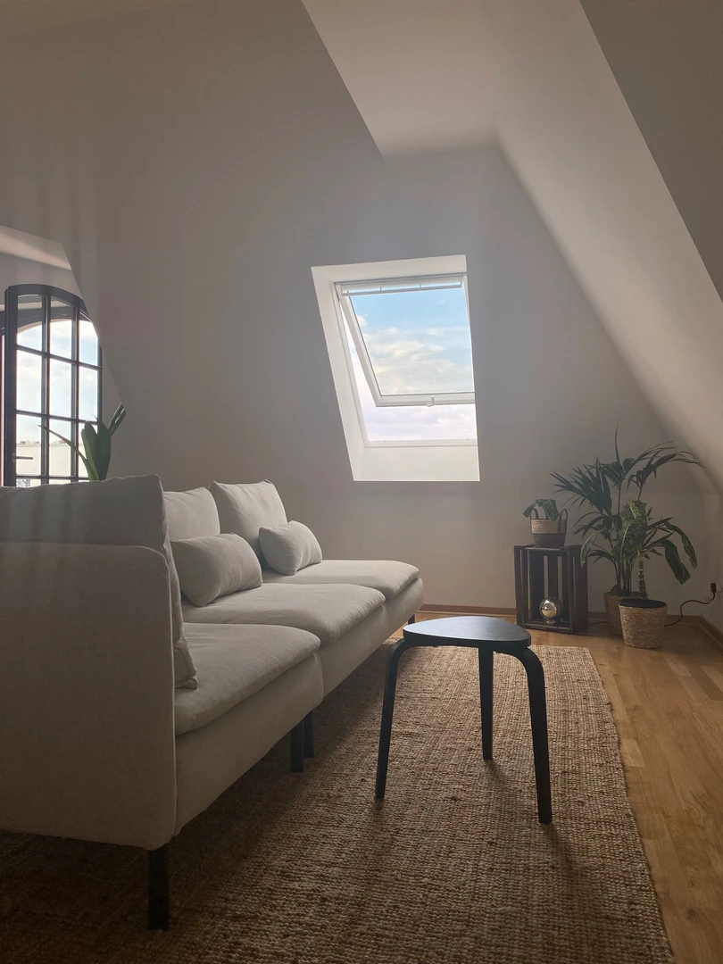 Room for rent in a shared flat in leipzig