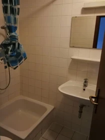 Room for rent in a shared flat in Mainz