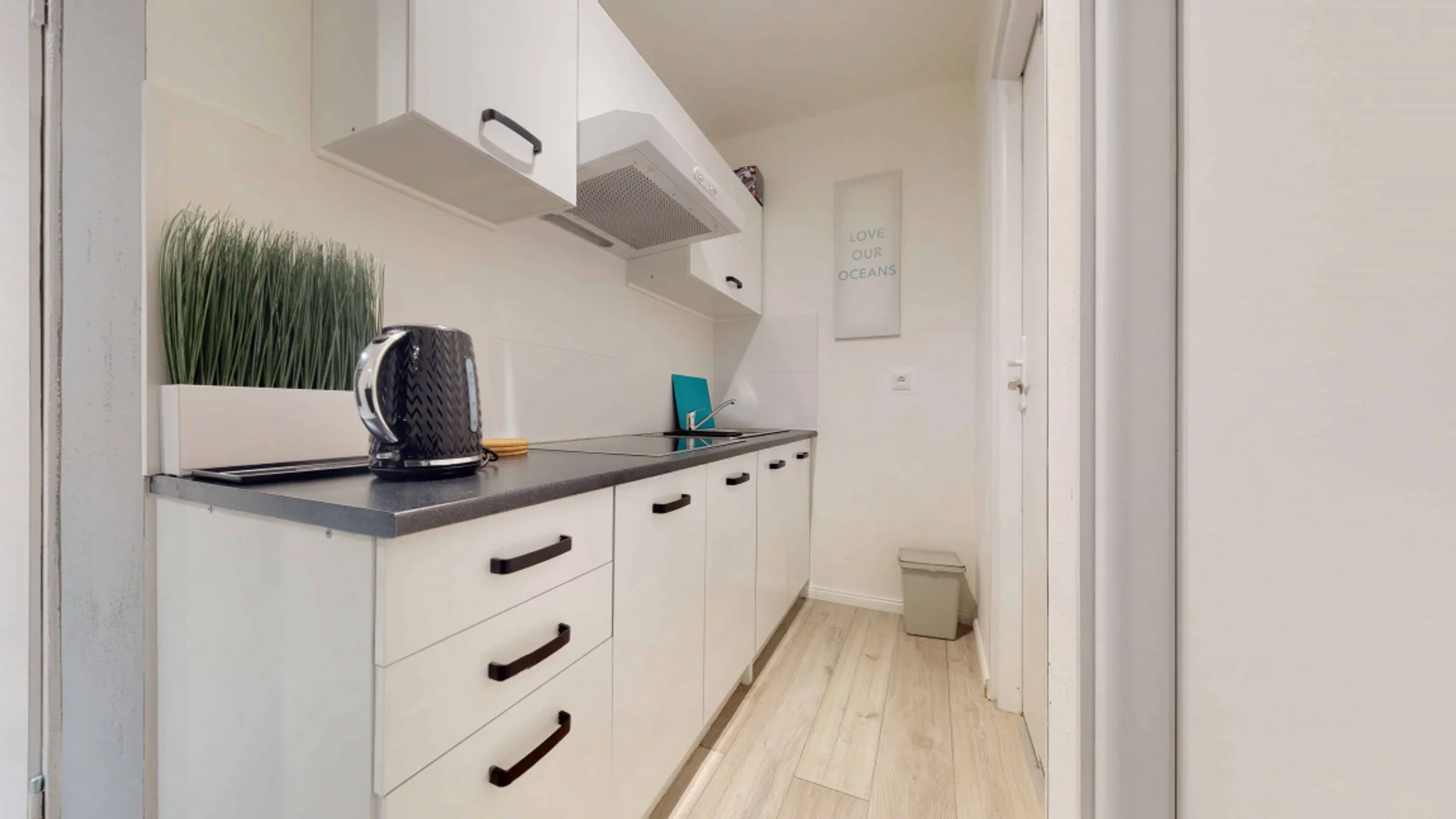 Student-friendly room in with modern amenities