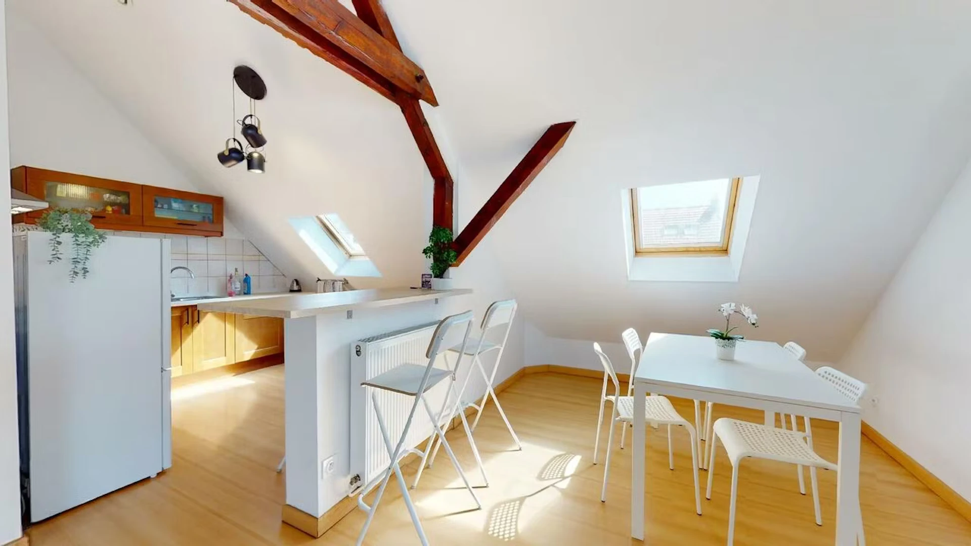 Bright private room in Metz
